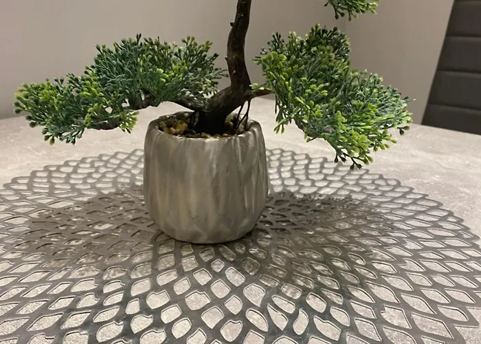 Mona Lisa ベルンカステル・クース